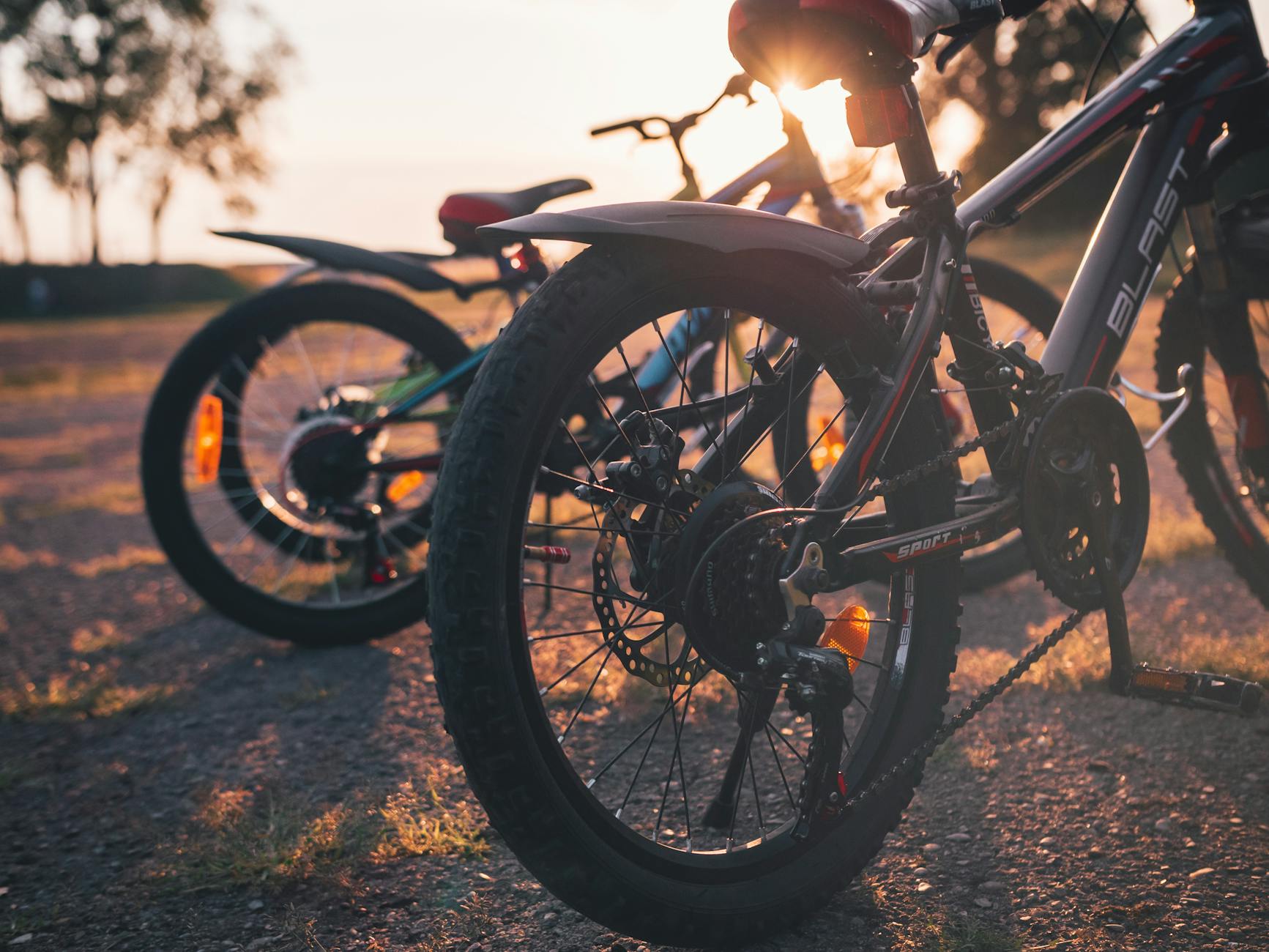Close-up of bicycle wheels during golden hour in a park, Lviv, Ukraine.